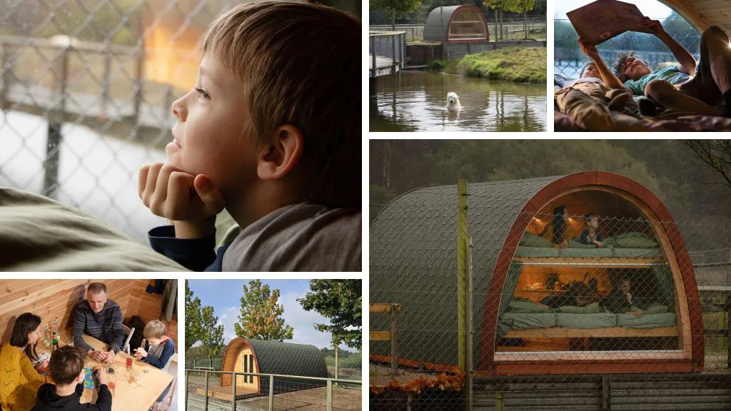 Overnat i Skandinavisk Dyrepark