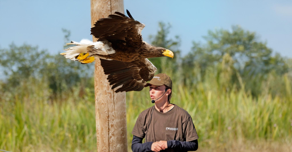 guide til djursland