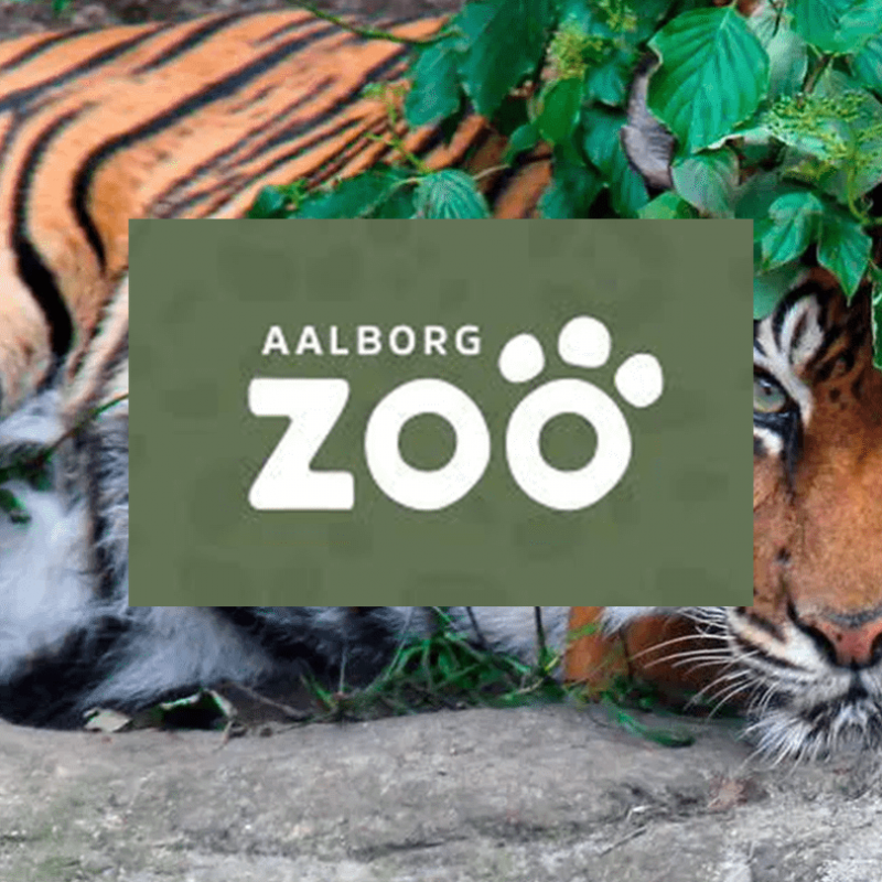 Aalborg-Zoo-Skandinavisk-Dyrepark