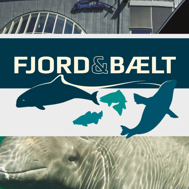 Fjord-og-Baelt-Skandinavisk-Dyrepark
