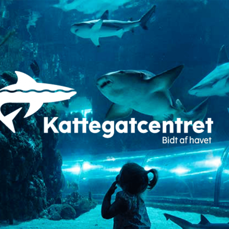 Kattegatcentret-Skandinavisk-Dyrepark