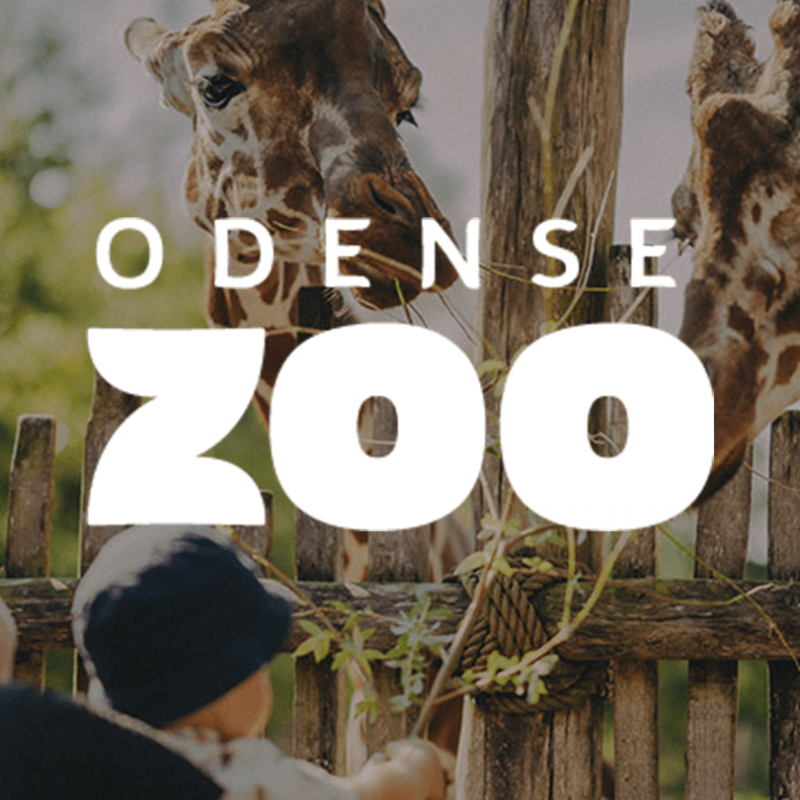 Odense-Zoo-15-Skandinavisk-Dyrepark