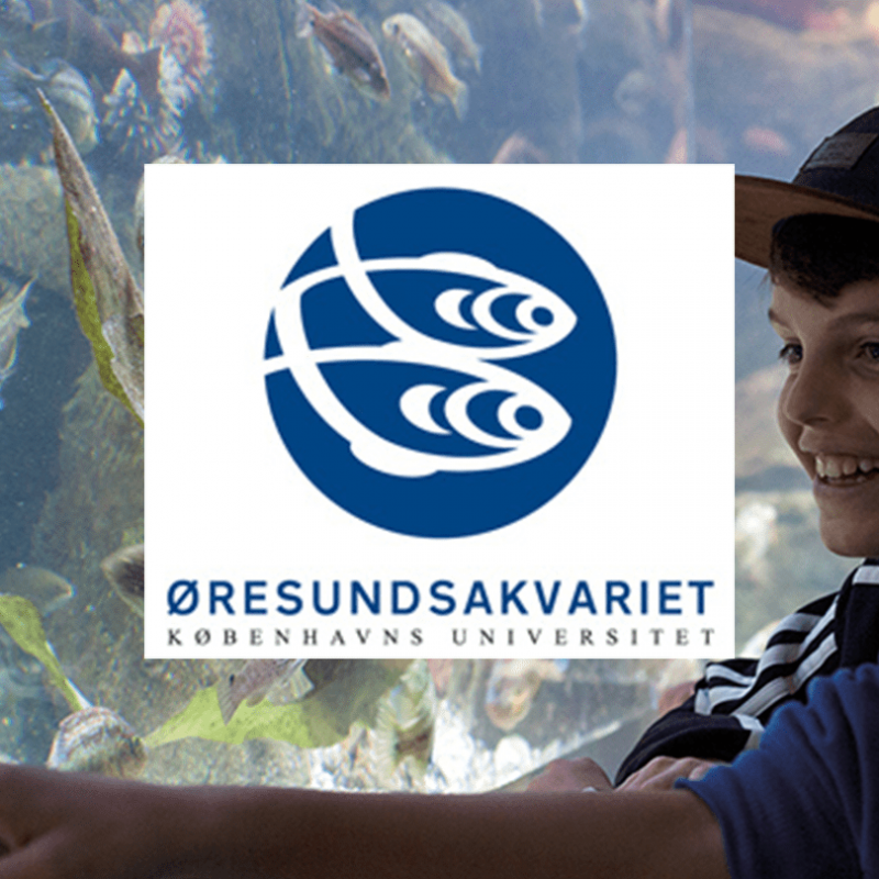 Oeresundsakvariet-Skandinavisk-Dyrepark1