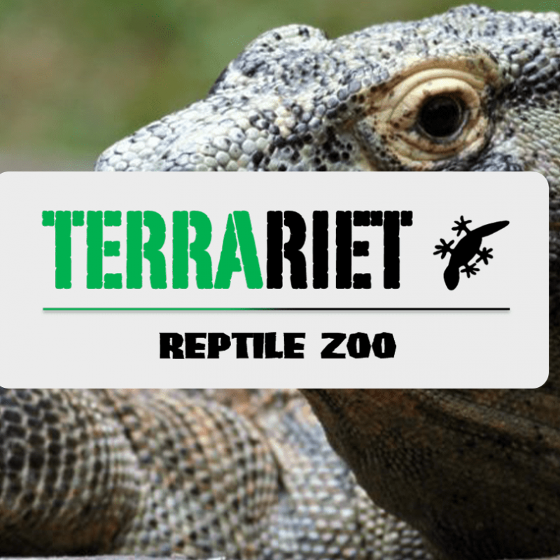 Terrariet-Skandinavisk-Dyrepark1